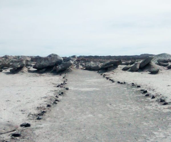 San Juan: Ischigualasto National Park – Moon Valley – Mendoza Province, Argentina