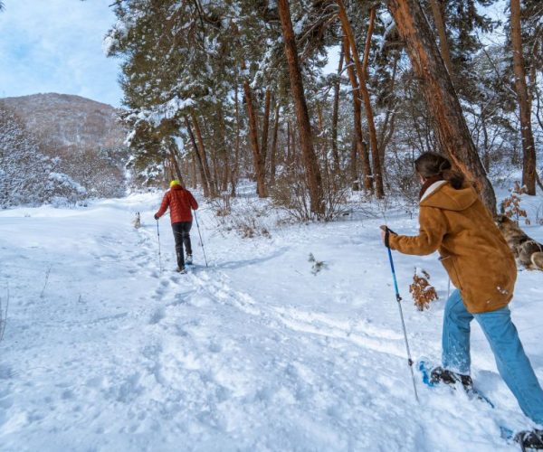 Snowshoeing Hike in the Mountains of Vanadzor – Lori, Armenia