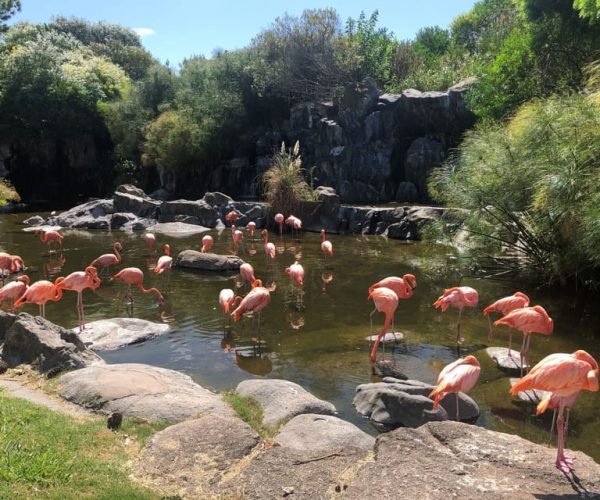 Temaiken BioPark Official Admission Tickets – Buenos Aires, Argentina