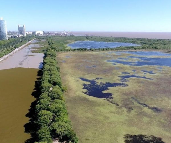 The Best Walking Tour of: Puerto Madero – Buenos Aires, Argentina