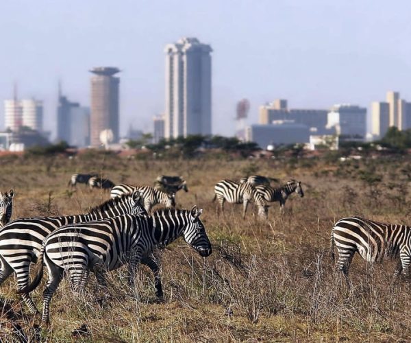 Tour to Nairobi Park,Giraffe Center,Bomas &Dinner at Hotel – Central Kenya, Kenya