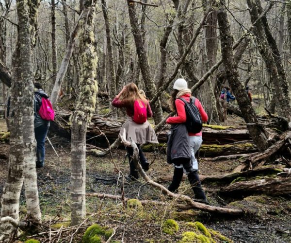 Trekking to Emerald Lagoon – Tierra del Fuego, Argentina