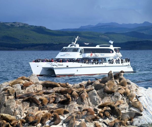 Ushuaia: Beagle Channel, Seal Island & Bridges Islands Tour – Tierra del Fuego, Argentina