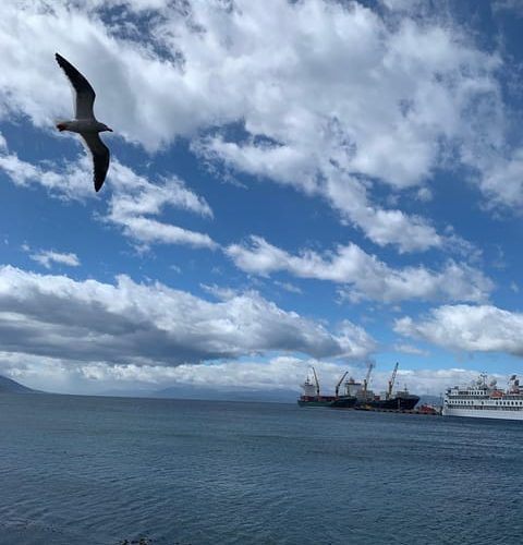 Ushuaia: Where adventures meet the end of the world – Beagle Channel, Argentina