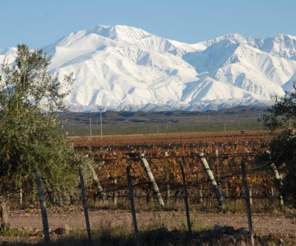 Valle de Uco: Private Full Day Wine Tour with 3-Course Lunch – Mendoza, Argentina