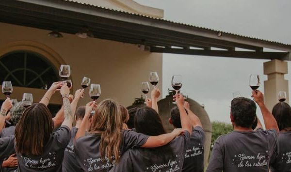 Visit 3 Wineries with Private Driver + Concierge service – Mendoza, Argentina