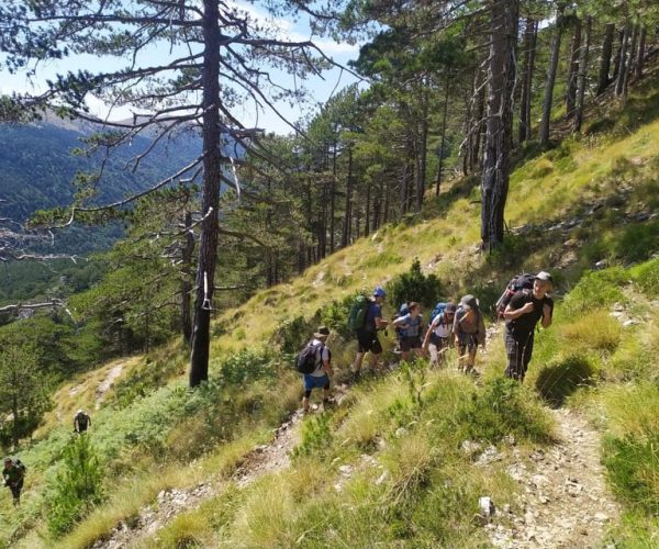 Vlore : Daily hiking at Qorre Peak, Llogara National Park – Vlorë County, Albania