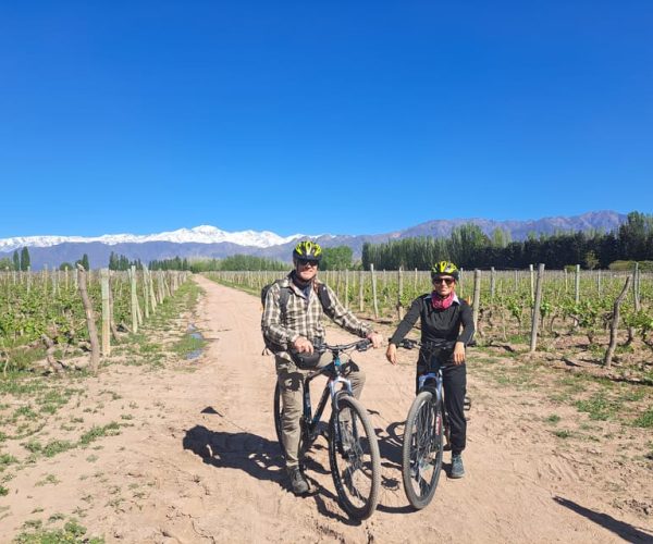 Wine and Chocolate Bike Tour: ride, taste, lunch, vineyards. – Mendoza River, Argentina