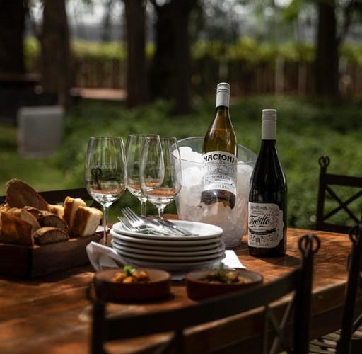 Wineries Private Tour + Lunch w pairings + Transfer included – Mendoza, Argentina