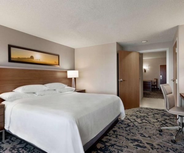 Embassy Suites Dallas – DFW Airport North – Grapevine, Texas