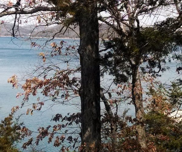 Lake Shore Cabins on Beaver Lake – Eureka Springs, Arkansas