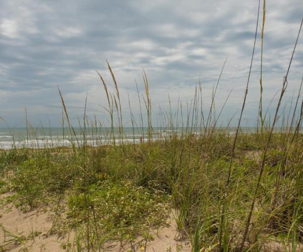 South Padre Island Beach Rentals – South Padre Island, Texas