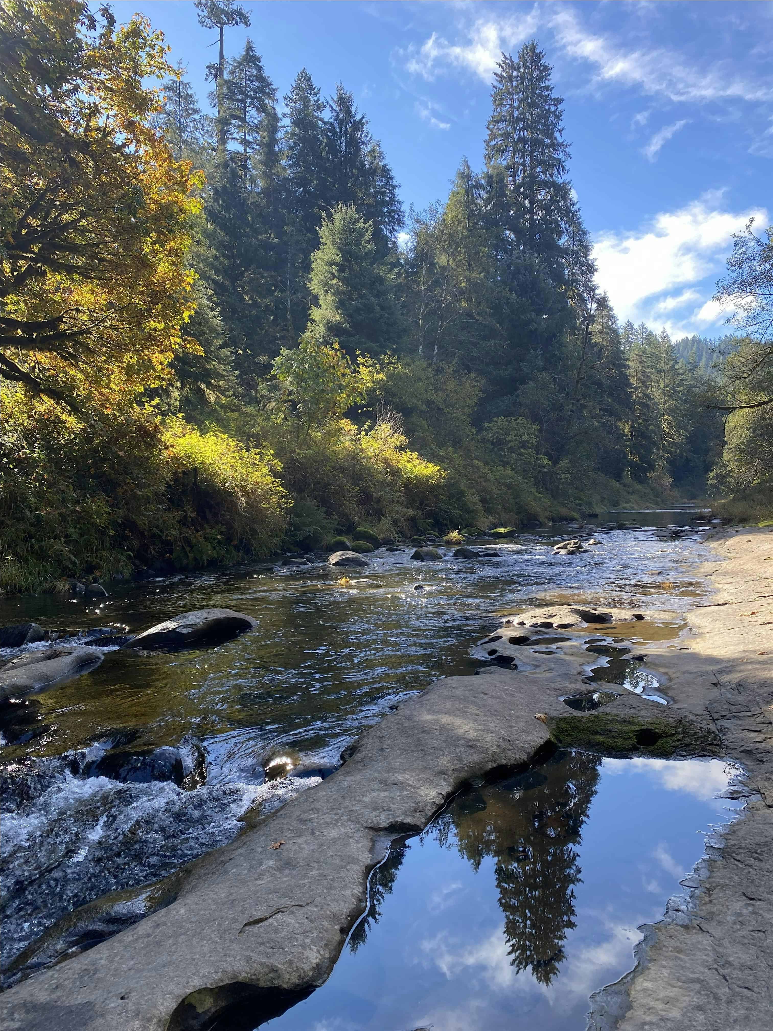 Harris Ranch Crosscut Logout Trail Party – Central Coast – Tidewater, OR