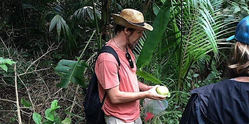 Urban Foraging in Honolulu’s Jungles with Dr. Nat Bletter – Honolulu, HI