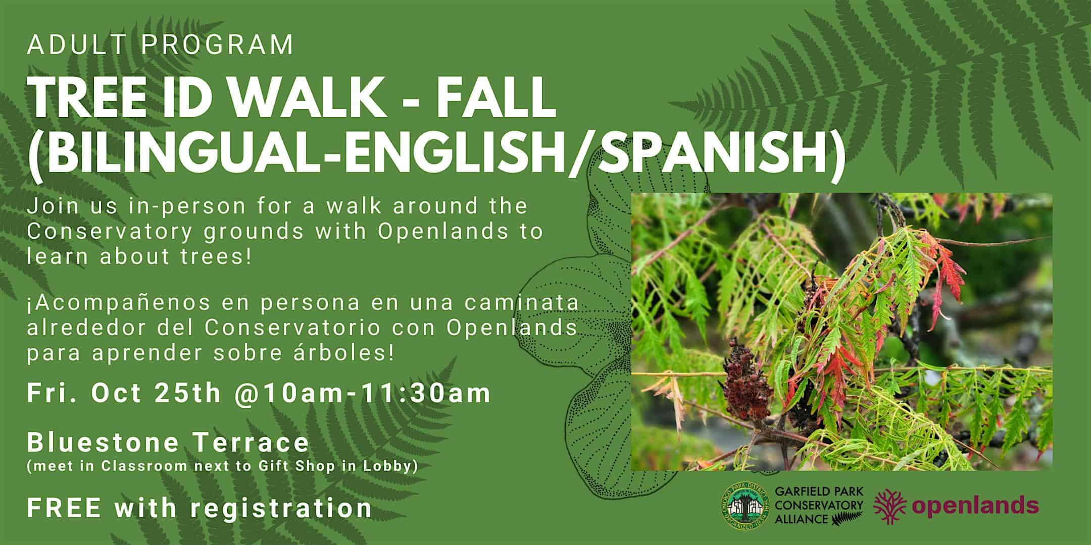 Tree ID Walk – Fall (Bilingual-English/Spanish) – Chicago, IL