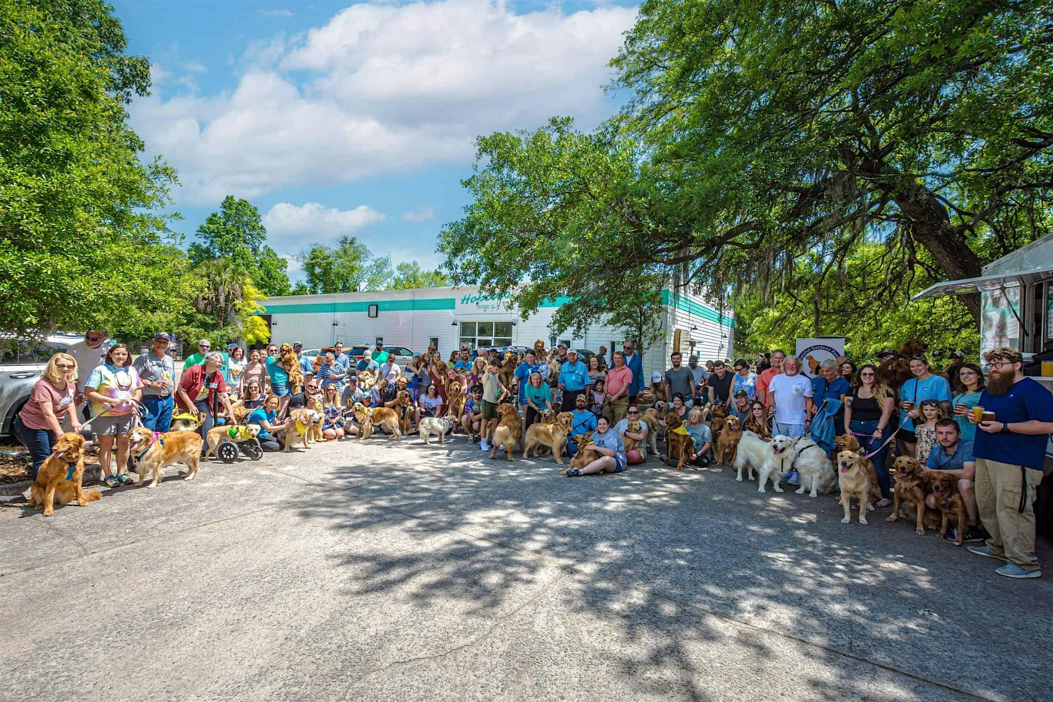 Fall 2024 Low Country Golden Retriever Meet-Up – Mount Pleasant, SC