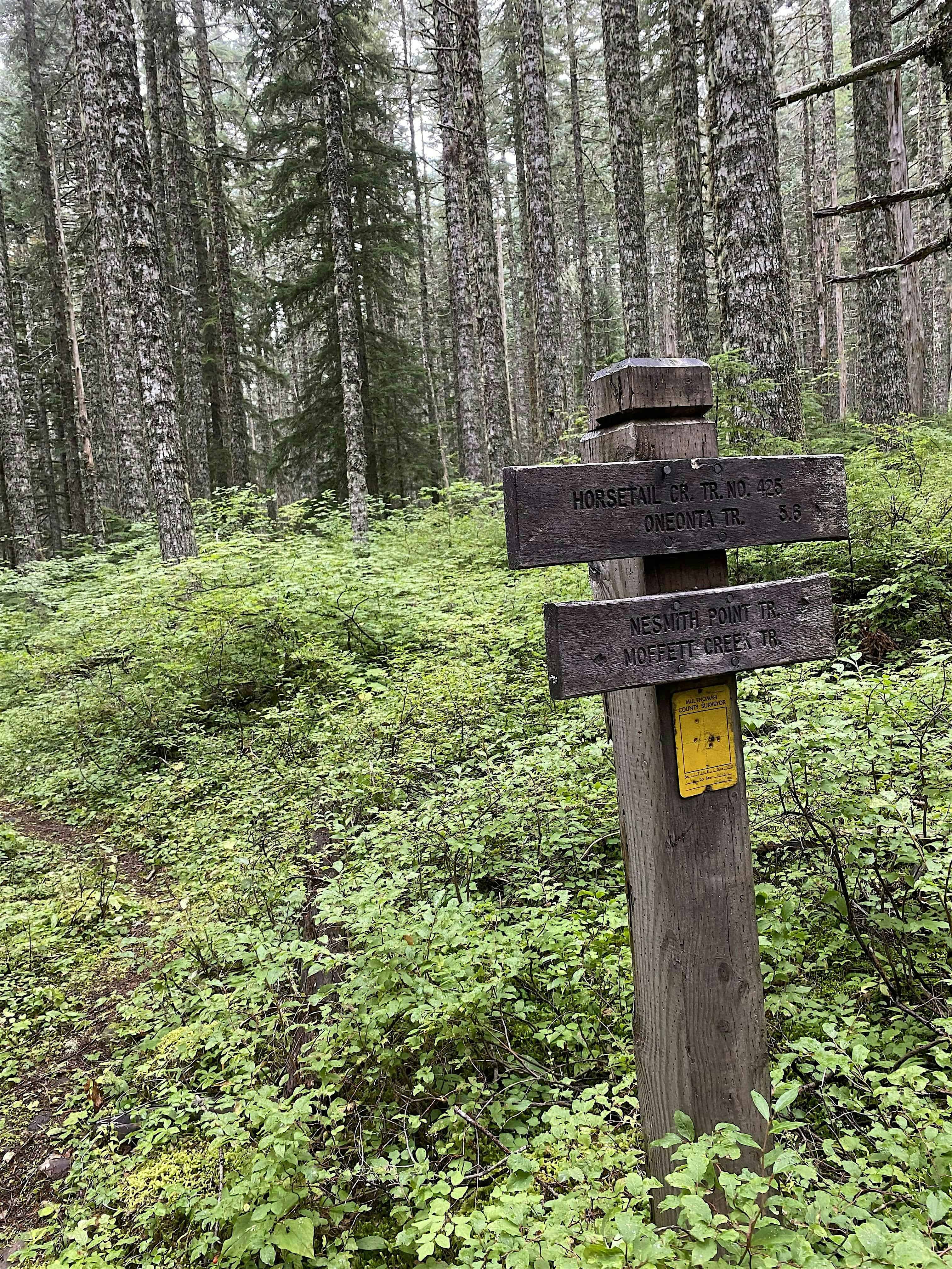 Upper Horsetail Creek Trail Party – Gorge – Corbett, OR