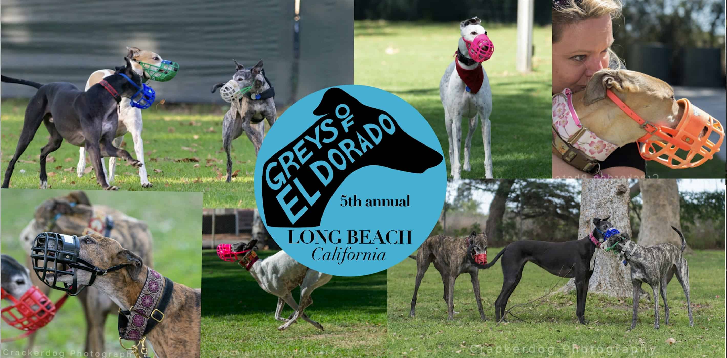 Greys of El Dorado’s 5th annual greyhound picnic – Long Beach, CA