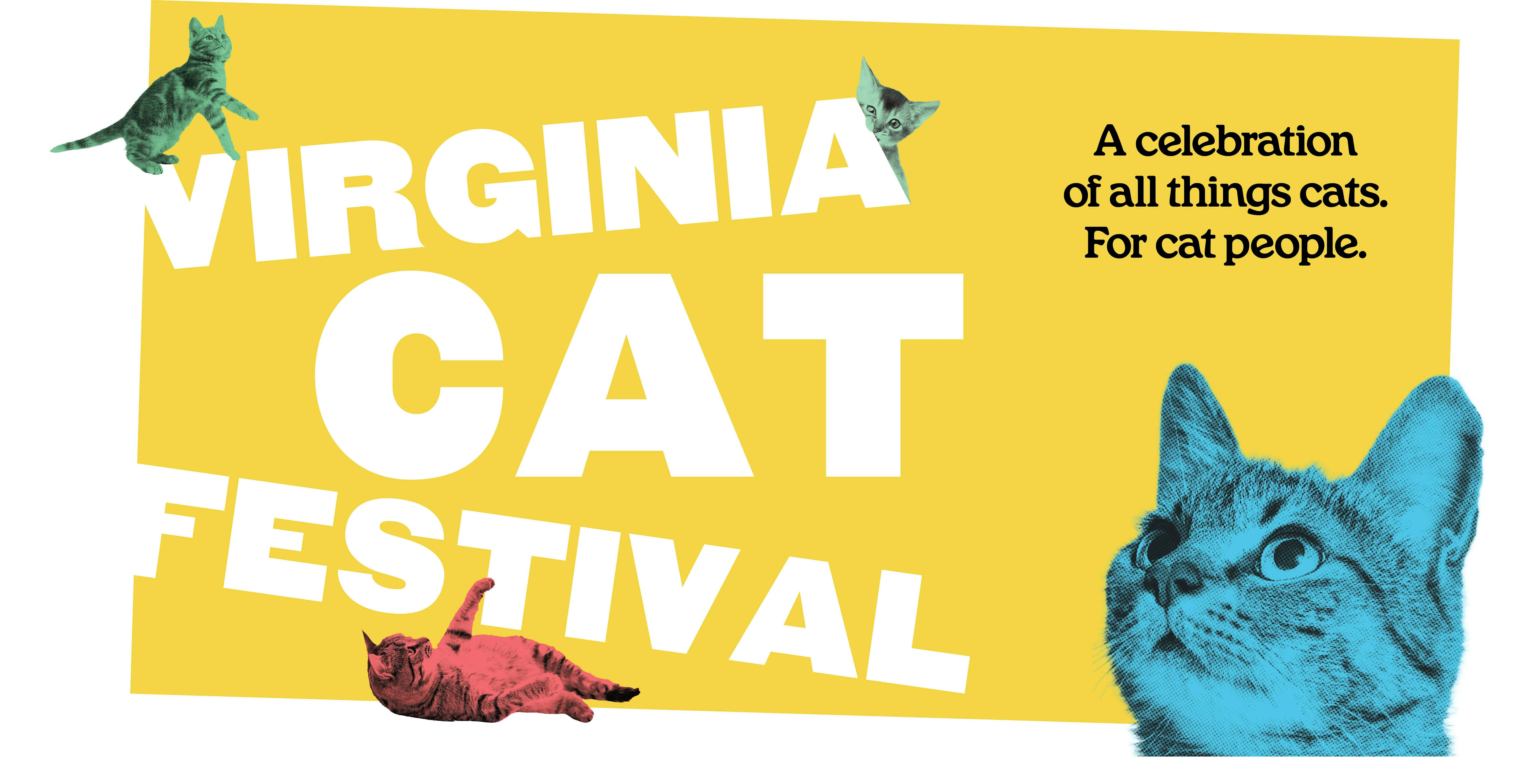 The Virginia Cat Festival – Williamsburg, VA