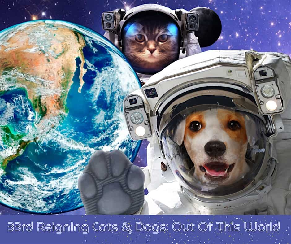 33rd Annual Reigning Cats & Dogs: Out of this World – Little Rock, AR