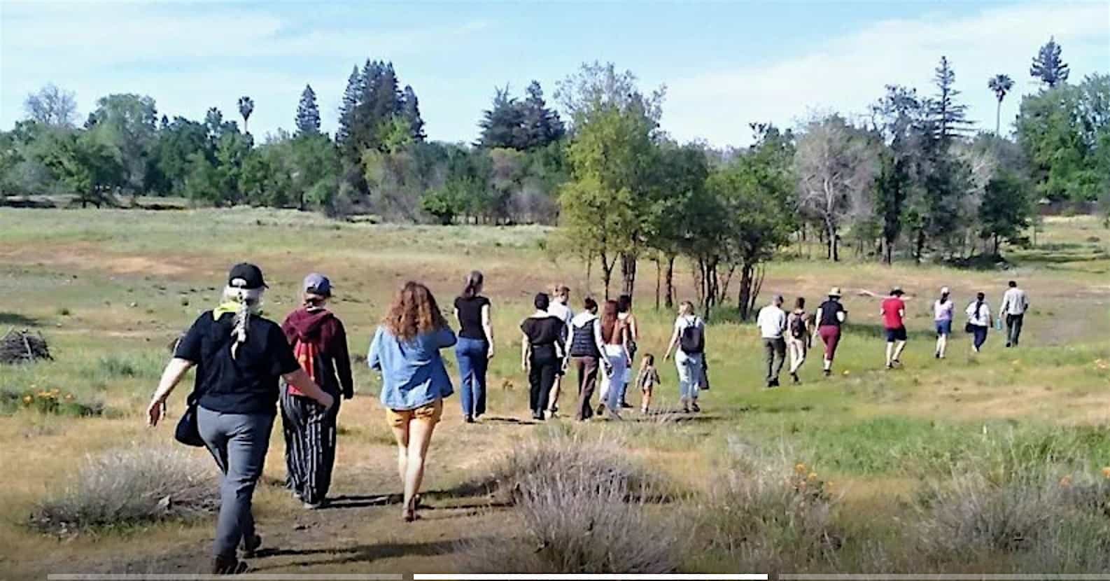 Monthly T.E.K. Plant Walk at Verbena Fields – Chico, CA