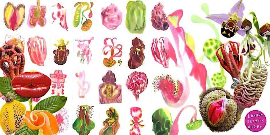 WEIRD BOTANY: ABSTRACT WATERCOLOURS – El Dorado County, CA