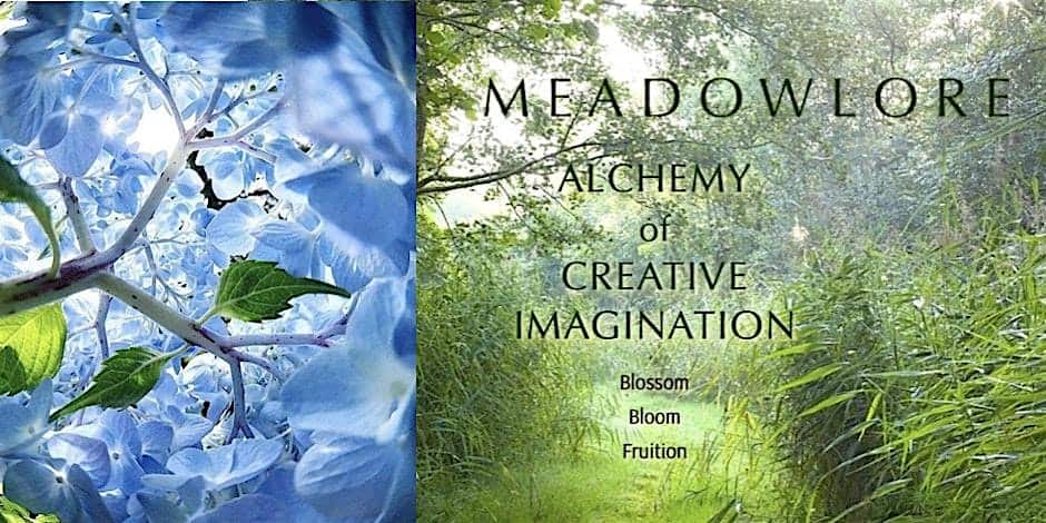 MEADOW – BLOOM find you all along – Nevada County, CA