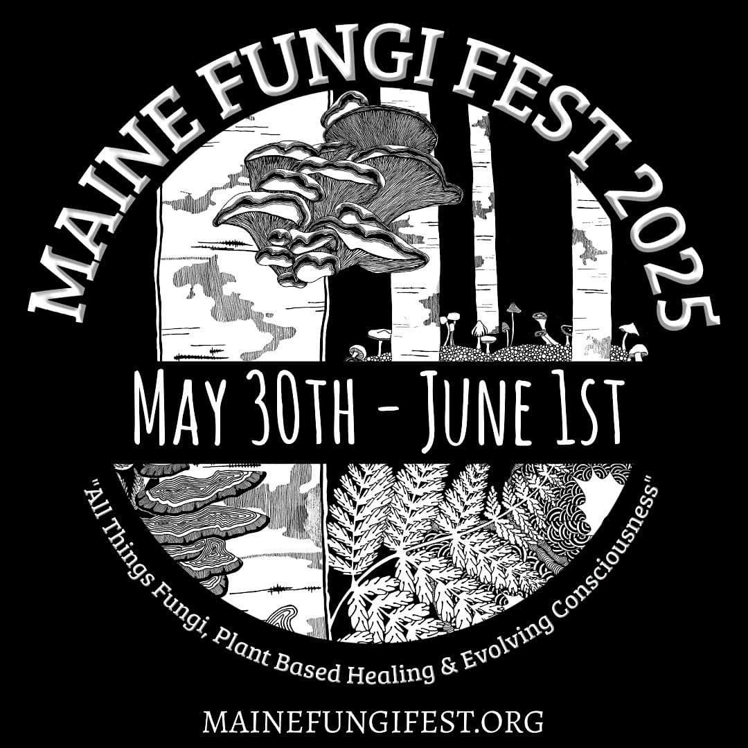 2025 Maine Fungi Fest – Standish, ME