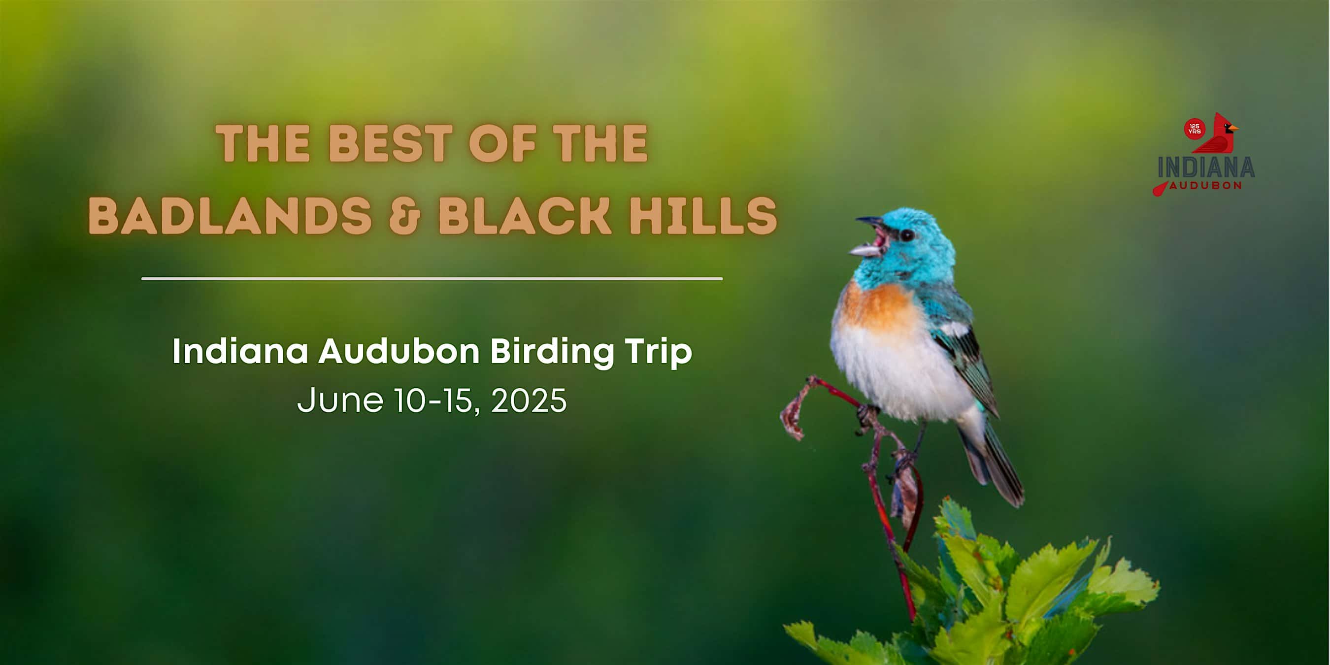 Indiana Audubon 2025 Badlands & Black Hills Tour – Rapid City, SD