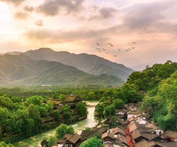 1-day Tour of Dujiangyan and Mount. Qingcheng – Southwestern China, China