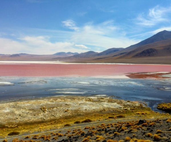 1D Laguna Colorada Private Tour from Uyuni – Potosí, Bolivia