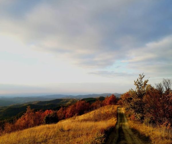 27/10 Oltrepò Pavese: E-bikes and autumn foliage – Lombardy, Italy