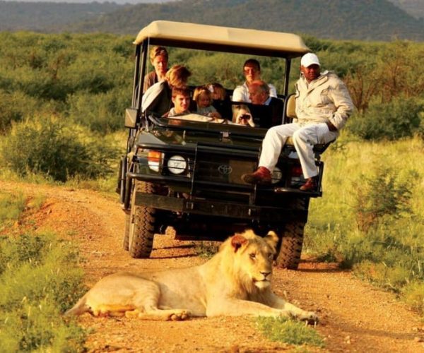 4 Day Garden Route Safari from Cape Town – Western Cape, South Africa