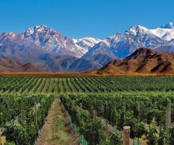 4 – Days Trip to Mendoza & The Andes – Mendoza Province, Argentina