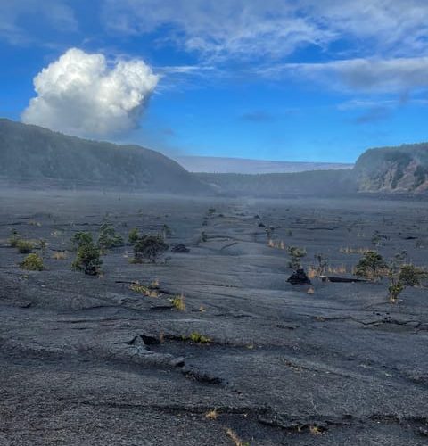 A Guided Hike Adventure: Kilauea Iki Crater and a Lava Tube – Hawaii, Hawaii