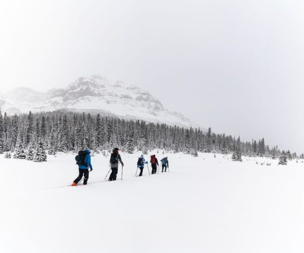 AST 1: Avalanche Skills Training Level 1 – Alberta, Canada