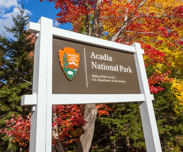 Acadia Mount Desert Island: Driving And Walking Tours Bundle – Maine, United States