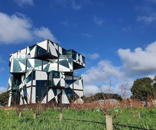 Adelaide: McLaren Vale Private WineTour+Your Chosen Tastings – South Australia, Australia