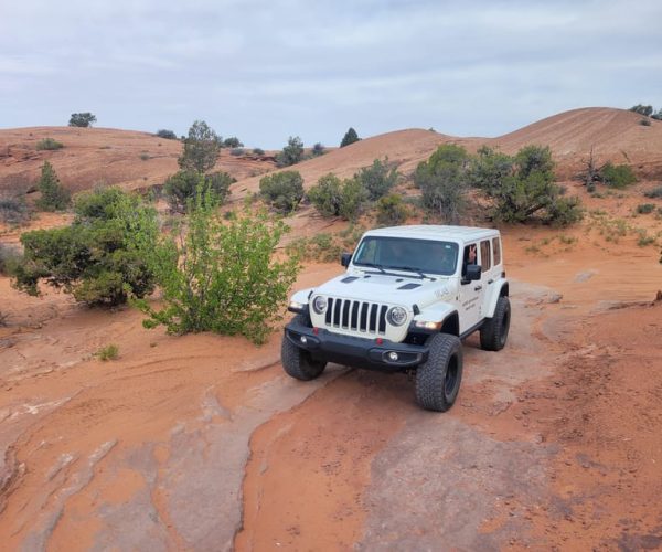 Afternoon Arches National Park 4×4 Tour – The Windows Section, Utah