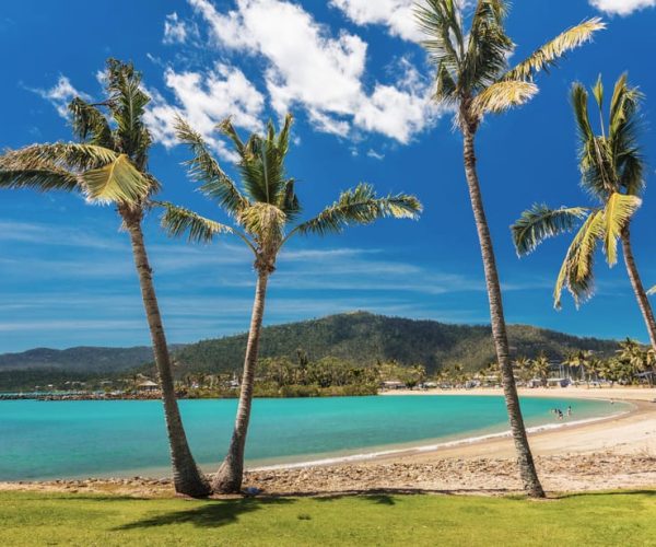 Airlie Beach: Hopper Sightseeing Bus with Lunch – Queensland, Australia