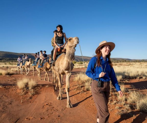 Alice Springs: Guided Outback Camel Ride – Northern Territory, Australia