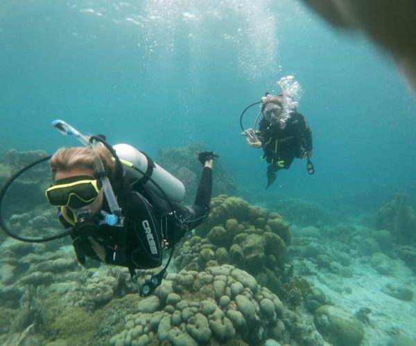 Aruba: Mangel Halto Reef & Hole in the Wall Shore Scuba Dive – Aruba Region, Aruba