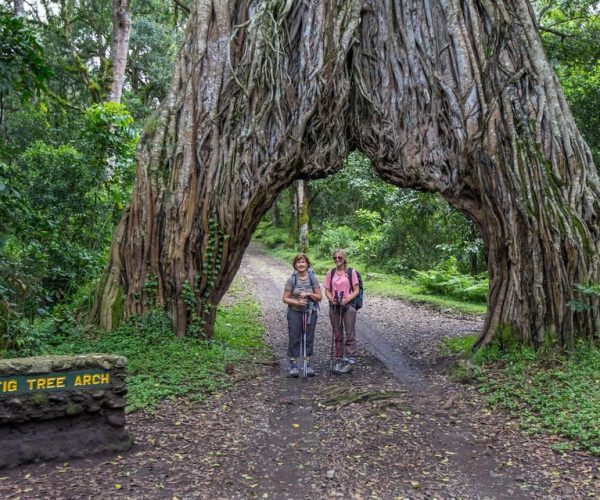 Arusha National Park Day Tour – Arusha (Region), Tanzania