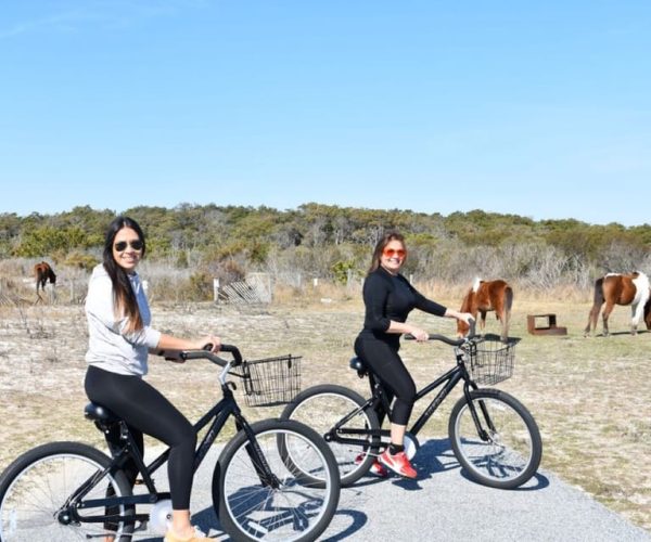 Assateague Island: Bike Rental from the Bayside Stand – Assateague Island, Maryland