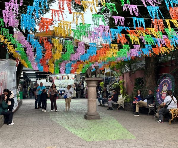 Authentic Coyoacan: Legends, Landmarks, and Local Delights – Greater Mexico City, Mexico