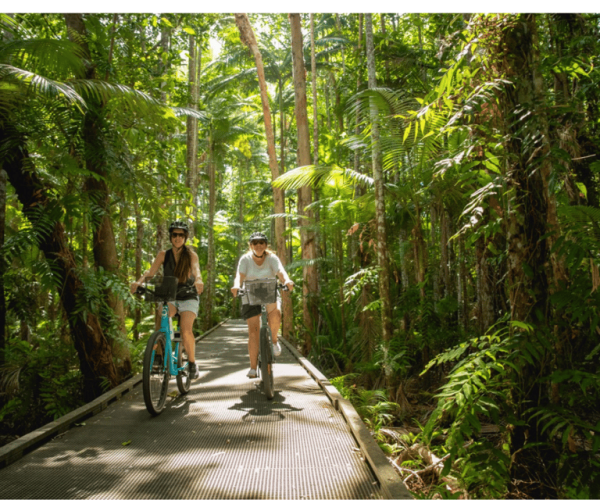 BIKE HIRE Cairns: City, Beaches, or Rainforest – Queensland, Australia