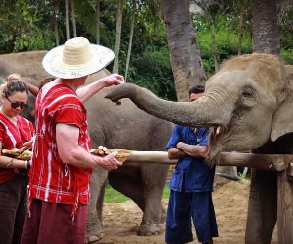 Bangkok: Half-Day Elephant Care with Transfer – Chachoengsao Province, Thailand