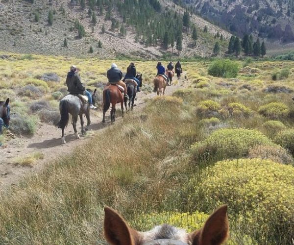 Bariloche: Guided horseback rides in the Patagonian steppe – Rio Negro, Argentina, Argentina