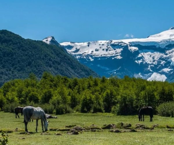 Bariloche: Tour to Cerro Tronador and Ventisquero Negro Glacier – Rio Negro, Argentina, Argentina