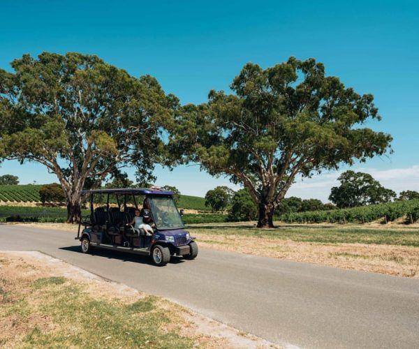 Barossa Valley: EcoVine Explorer – e-cart vineyard tour – South Australia, Australia